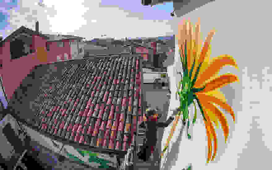 weeds-graffiti-street-art-mona-caron-10.jpg