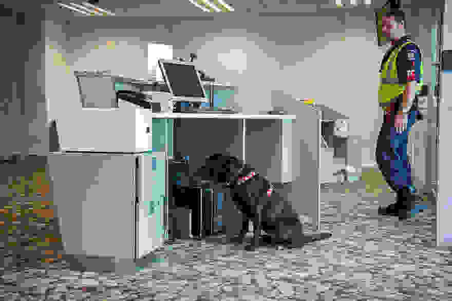 working-dog-photography-shepherds-realm-andrew-fladeboe-22.jpg