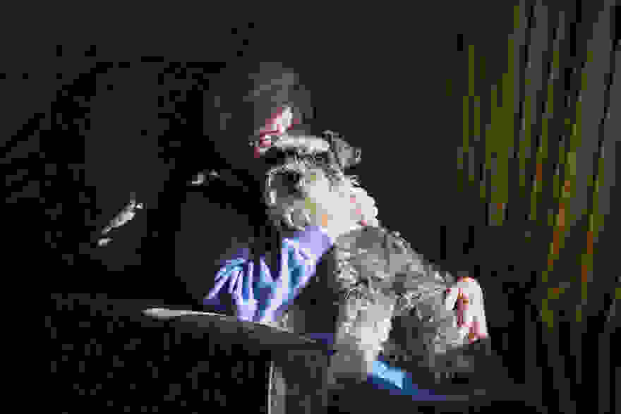 working-dog-photography-shepherds-realm-andrew-fladeboe-27.jpg