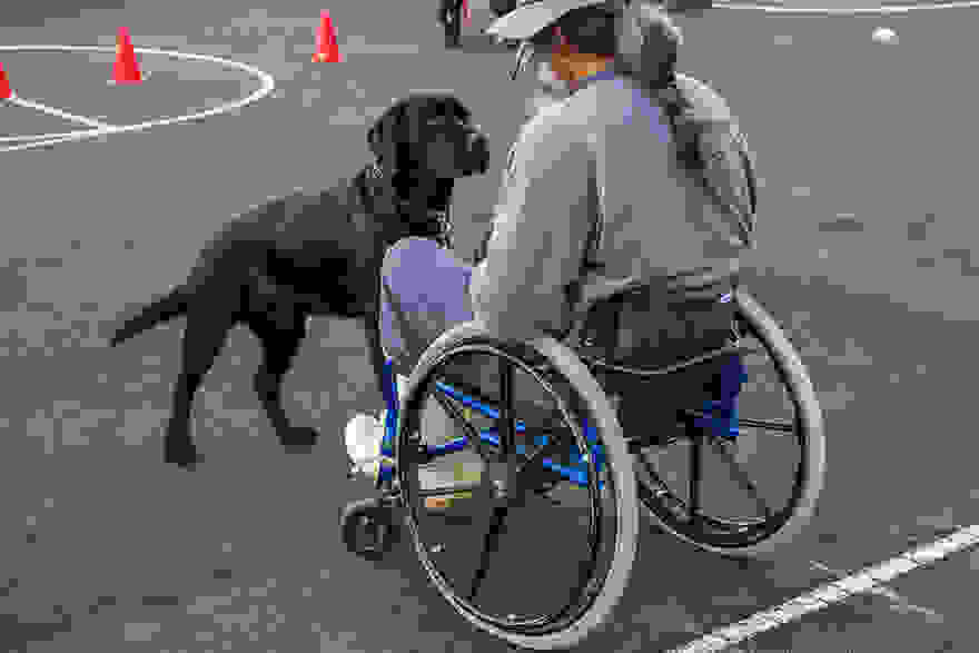 working-dog-photography-shepherds-realm-andrew-fladeboe-31.jpg