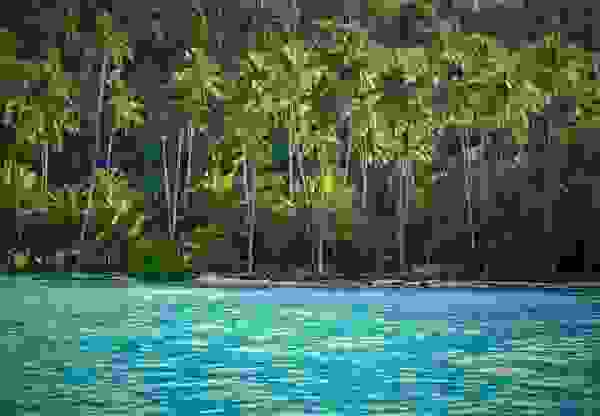 ximo2.jpg