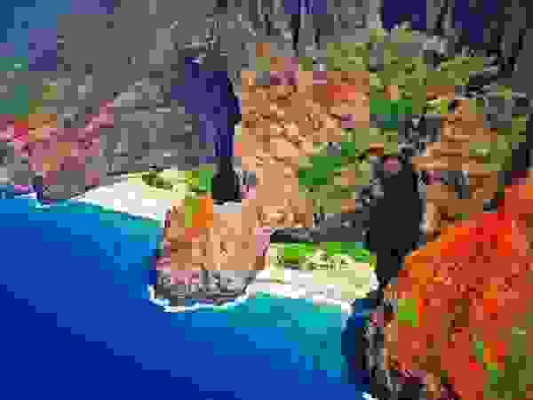 ximo3.jpg