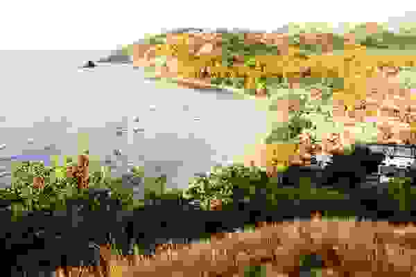 ximo6.jpg