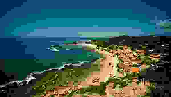 ximo8.jpg