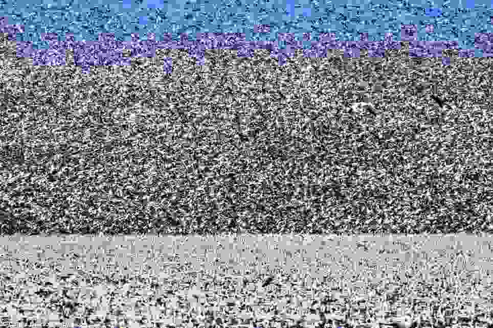 xines_5.jpg