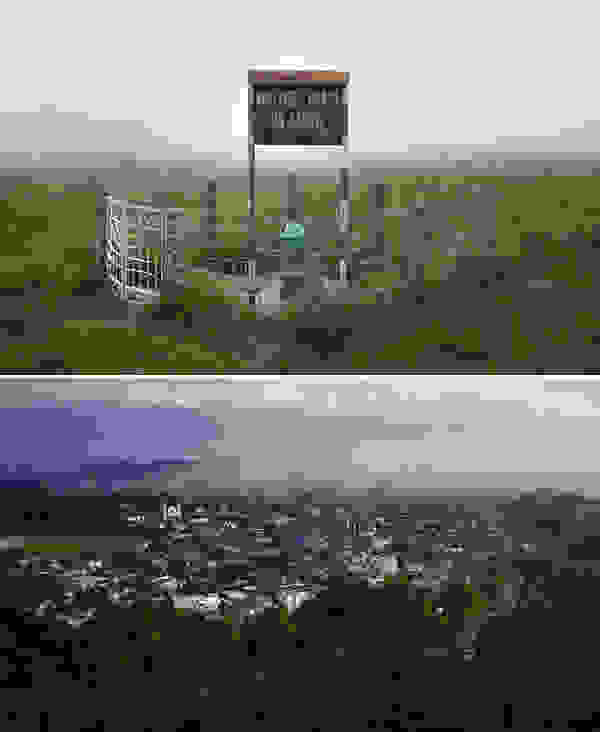 xorioni2.jpg