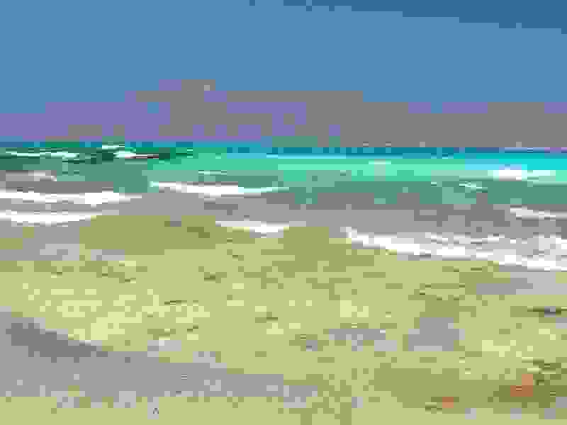xrysh7.jpg