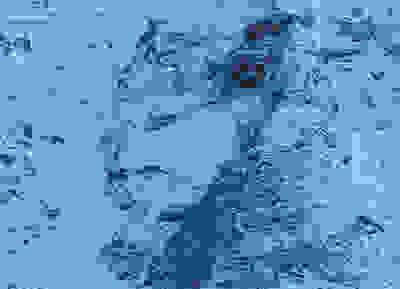 xwris_photoshop1.jpg