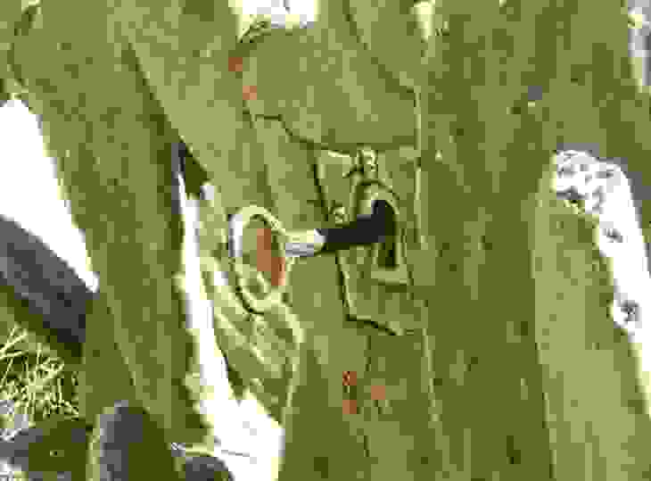 yassen7.jpg