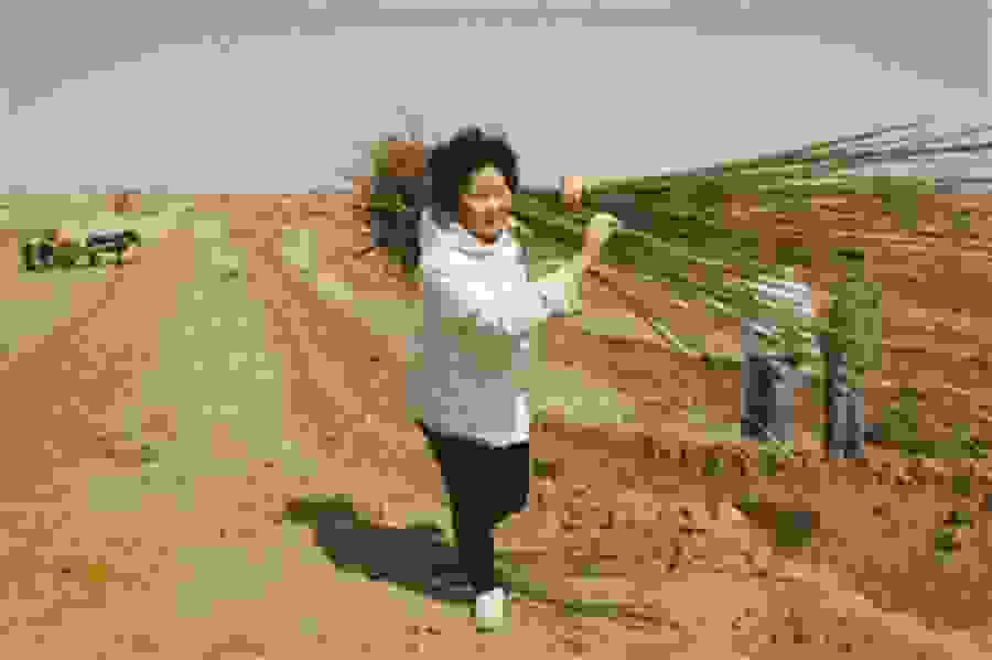 yi-Jiefeng4.jpg