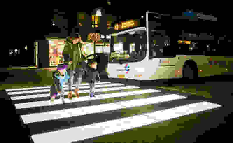 zebra-light.jpg
