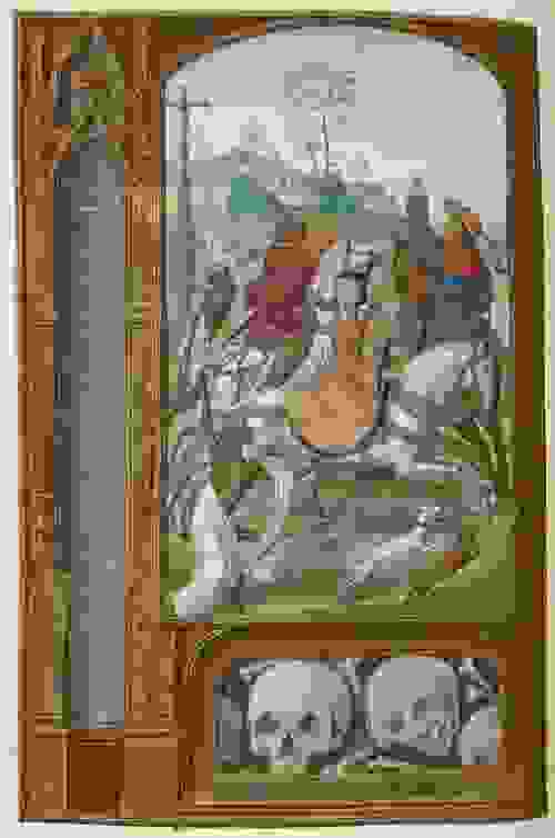 zompi1