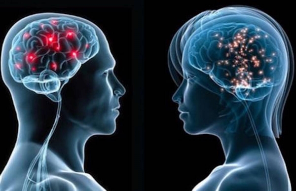 Διαφορές ανδρικού και γυναικείου εγκέφαλου: Ψάχνοντας τον τρόπο να επικοινωνούμε και να συνδεόμαστε.