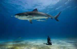 &quot;One Ocean One Breath&quot;