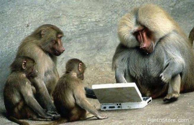 To Facebook κάνει εξυπνότερους τους πίθηκους μακάκες