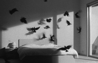 Κατερίνα Αγγελάκη – Ρουκ: «Τι θέλει το πουλί απ’ το δωμάτιο;»