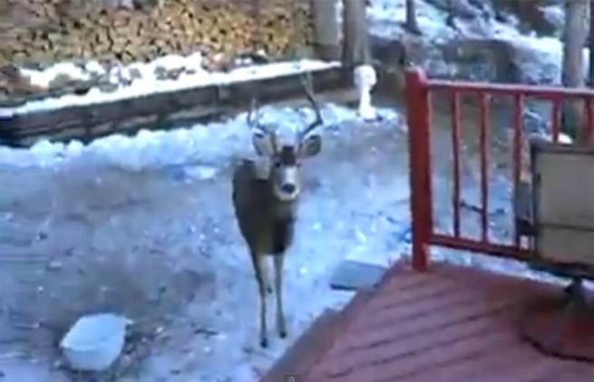 Πρόσκληση για πρωϊνό! (video)