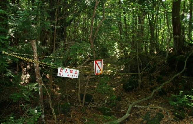 Aokigahara Forest, το δάσος των αυτοκτονιών