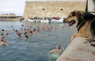 Γνωστό αδέσποτο του Ηρακλείου &quot;βούτηξε&quot; για το σταυρό