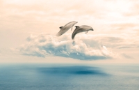 Αντώνης Σουρούνης -  «Άνθρωποι και δελφίνια»