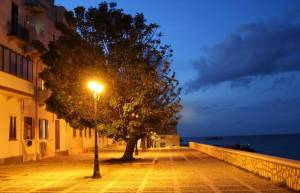 Τα δέντρα των πόλεων υποφέρουν από αϋπνίες