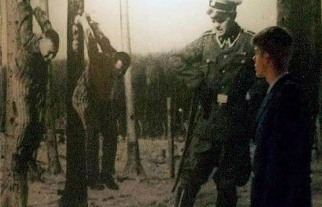 Οι Ναζί ήθελαν να επιτεθούν με μολυσμένα κουνούπια!
