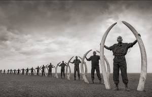 Across the Ravaged Land - Nick Brandt