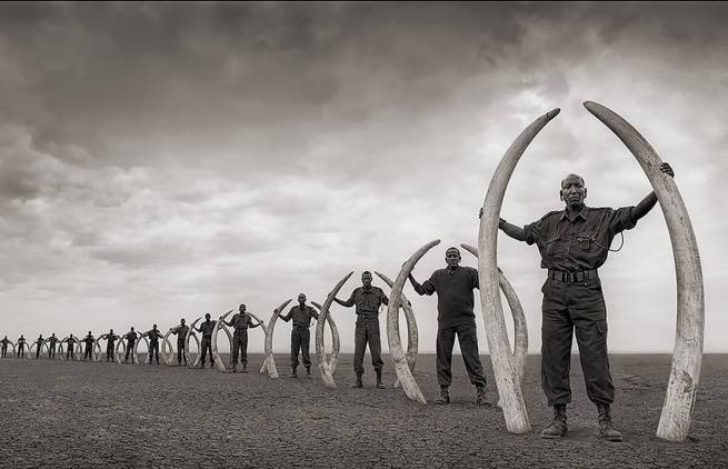 Across the Ravaged Land - Nick Brandt
