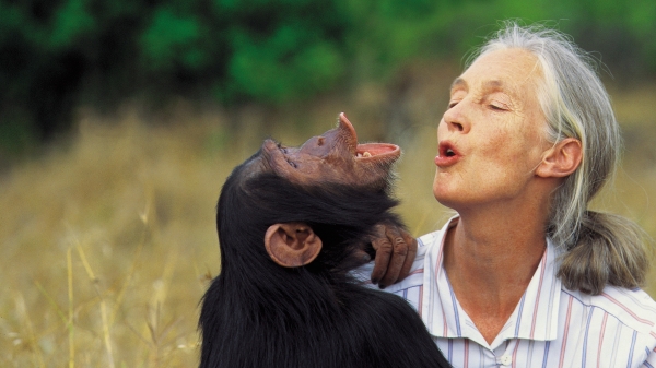 Jane Goodall: «Ο μεγαλύτερος κίνδυνος για το μέλλον μας είναι η απάθεια»