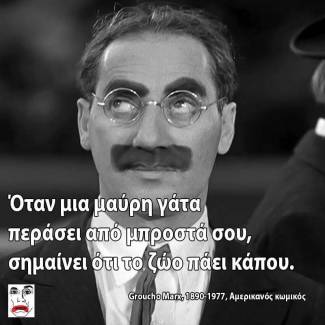 Γάτα