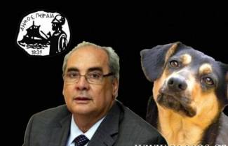 Ο δήμαρχος Πειραιά απειλεί εκείνους που ταΐζουν αδέσποτα