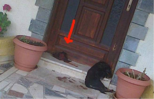 Της αποκεφάλισε το κουτάβι για να την εκδικηθεί