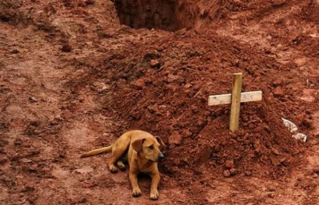 Οι 30 πιο δυνατές φωτογραφίες όλων των εποχών