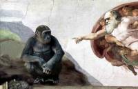 7 Μύθοι για τη Θεωρία της Εξέλιξης