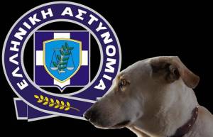 Συλλήψεις για θανάτωση σκύλων στα Δανίλια