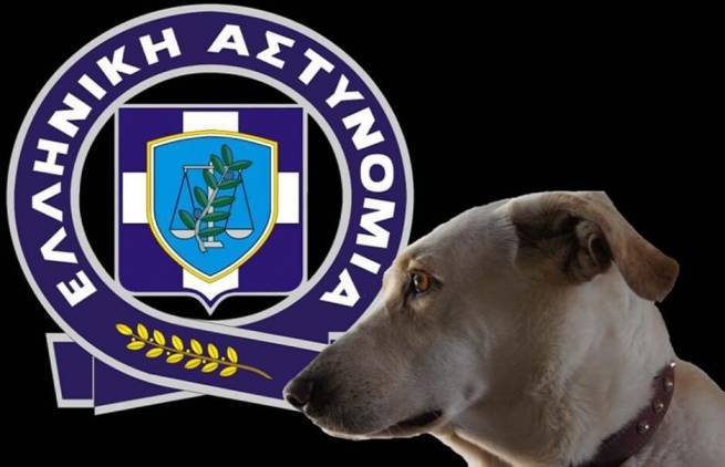 Συλλήψεις για θανάτωση σκύλων στα Δανίλια