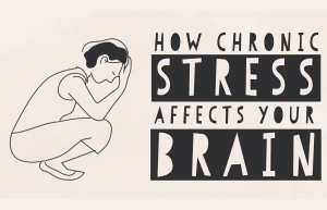 Πώς το άγχος επηρεάζει τον εγκέφαλό μας (video)