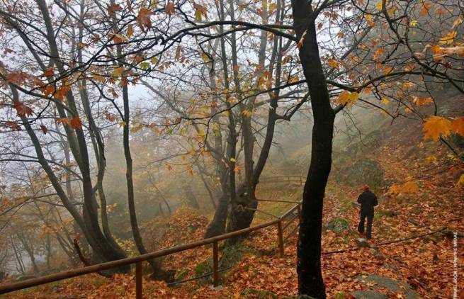 Διαδρομές στη Ελλάδα που αξίζει να ανακαλύψεις περπατώντας