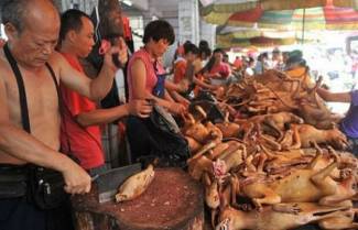 Οι κινέζοι που τρώνε σκύλους, οι κοντόφθαλμοι και η ανεκτικότητα στο διαφορετικό