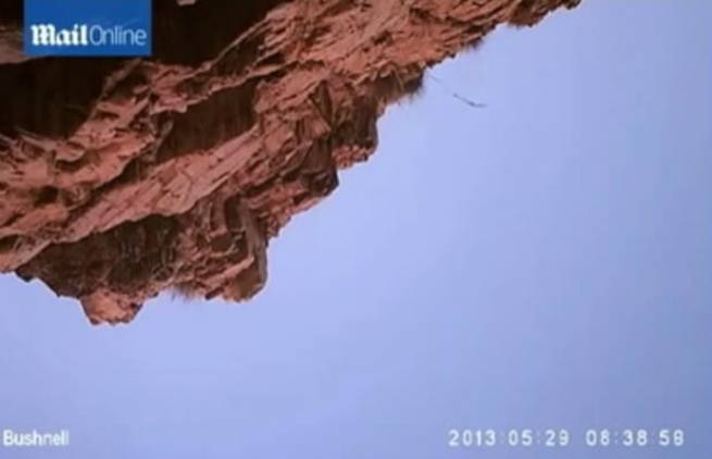 Αετός κλέβει ανοιχτή κάμερα (video)