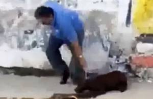 Χτύπησε το σκύλο του και ακολούθησε η θεία δίκη (video)