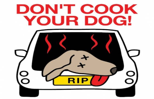 Hot Dog: Μην ψήνεις το σκύλο σου! (video)