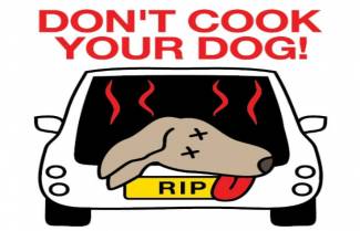 Hot Dog: Μην ψήνεις το σκύλο σου! (video)