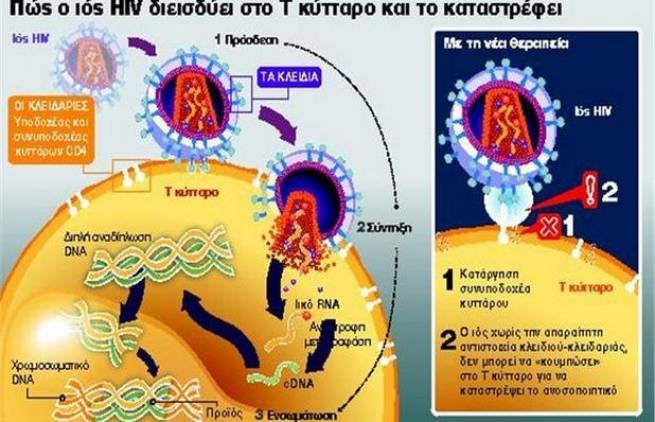Κλείδωσαν τα κύτταρα για τον HIV