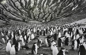 Sebastião Salgado: Το ερωτικό μου γράμμα προς τον πλανήτη