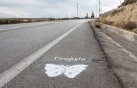 Μια πεταλούδα στους δρόμους της Κρήτης για κάθε θύμα της ασφάλτου