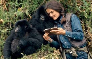Dian Fossey - Η γυναίκα που ζούσε μόνη στο βουνό