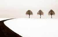 Γιάννης Ρίτσος, «Το χιόνι»