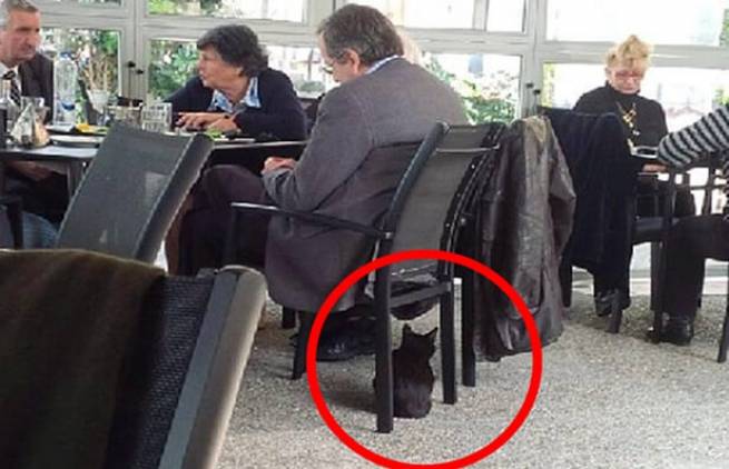 Η άτυχη στιγμή του πρωθυπουργού