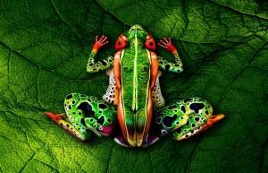 H τέχνη του Bodypainting (video)